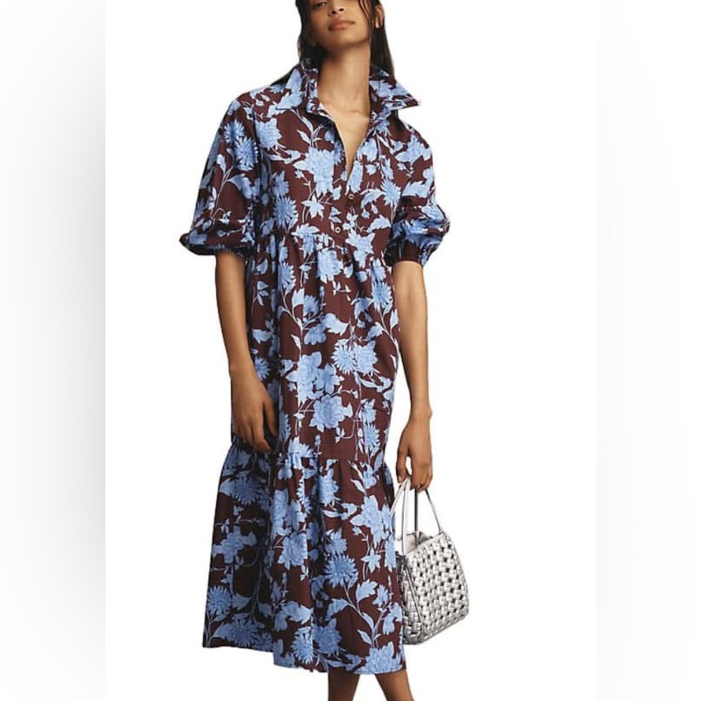 Rachel Zoe Brown Maxi Dress with Light Blue Floral Print